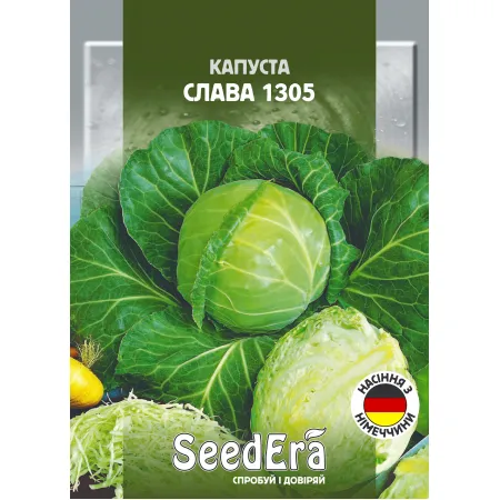 Капуста білоголова Слава 1305 10 г (Satimex, Німеччина) - Насіння